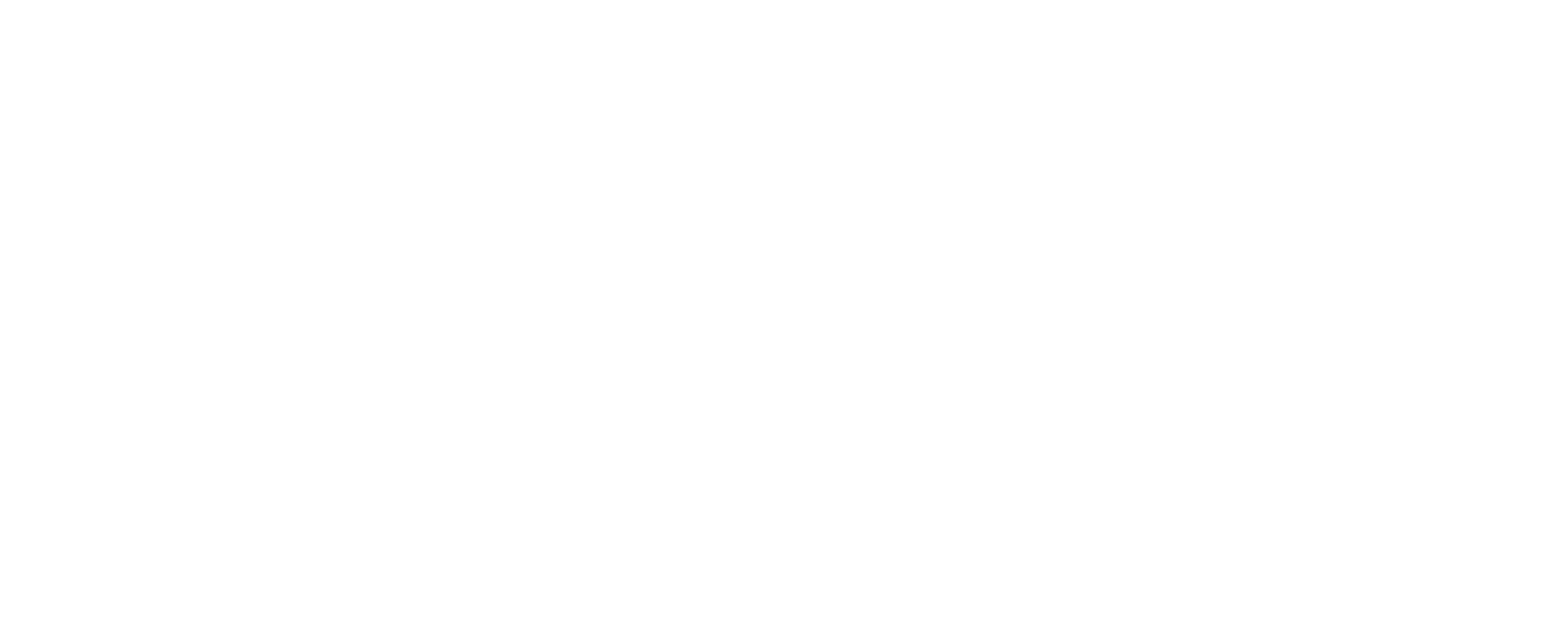 wild code school project wild coin